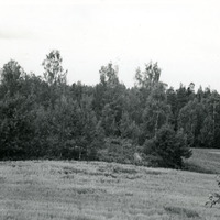 597-032 - Åker och skog