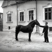 002-01288 - Man med häst