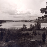 275-0216 - Vy mot Lindesjön