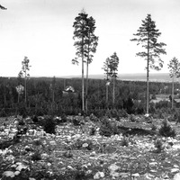 469-107 - Utsikt från Sandtäppsfallet