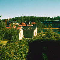 001-DiaF005 - Trädgården öster om Tingshuset