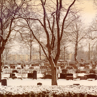 581-104 - Norra kyrkogården