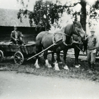 597-136 - Med häst