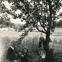 518-246 - Astrid, Hans och Eneborg