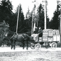488-F0256 - Häst och vagn