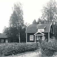 488-N2438 - Björkhamra
