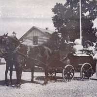 108-084 - Häst och vagn