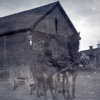 102-270 - Häst och vagn