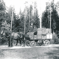 488-N0571 - Häst och vagn