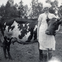 102-272 - Kvinna och ko