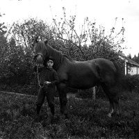 471-389 - Pojke med häst