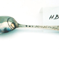 HB 1041 - Silversked