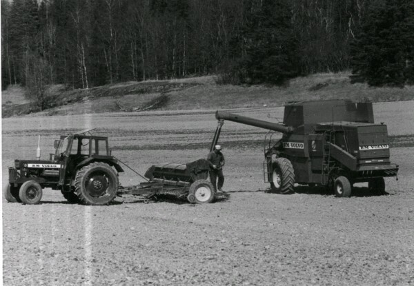Sjösa, 365 hektar vårsåddes år 1971.