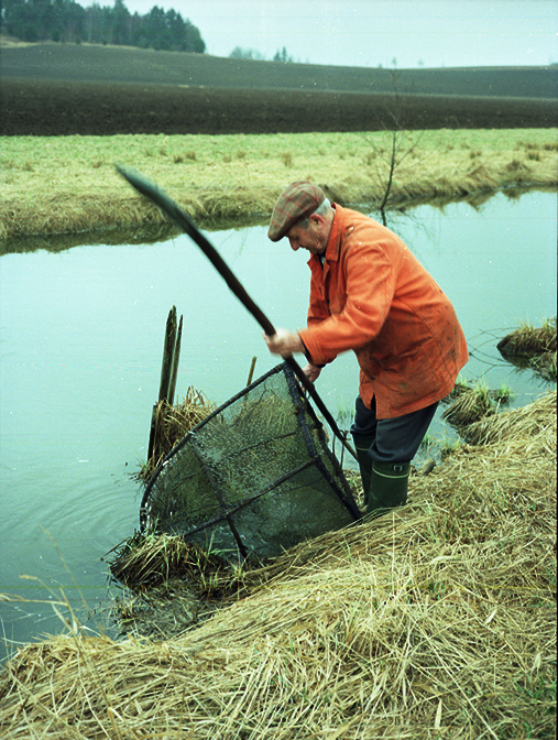 Bror Höglund, Gnesta, fiskar nors 1998