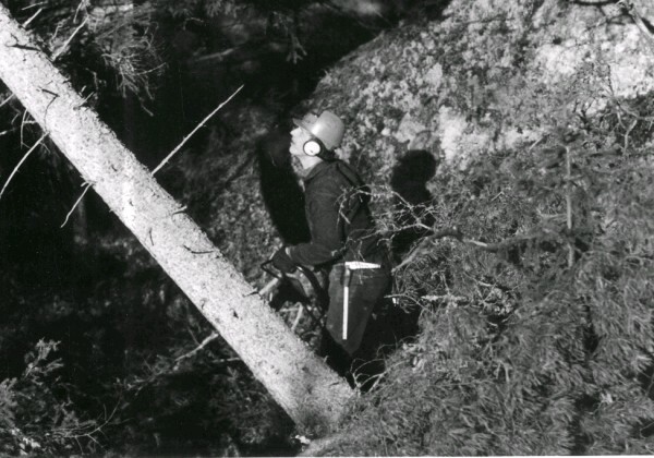 Sjösa gård, skogsavverkning under februari 1971...
