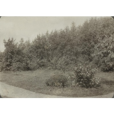 SLM P09-1496 - Fotografi av en trädgård
