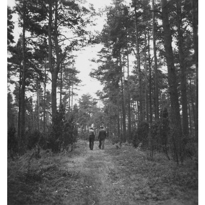 SLM M025706 - Två personer promenerar i skogen.
