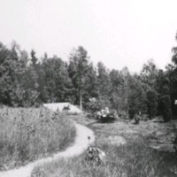 SLM M032687 - Skogsväg vid Björkliden