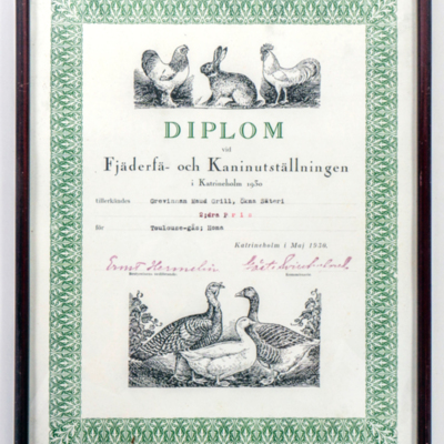 SLM 40330 - Diplom, 2:dra pris för Toulouse-gås 1930, Ökna i Floda socken