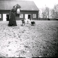 SLM Ö556 - Kvinna med hundar på gårdsplanen vid Ökna säteri i Floda socken