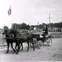SLM M033843 - En kvinna åker häst och vagn.