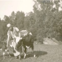 SLM M032596 - Kvinna med ko och kalv, från albumet 