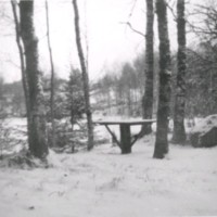SLM M032614 - Vintermotiv med snö, från albumet 