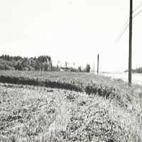 SLM M009143 - Skresta gravfält, från norr, foto våren 1968