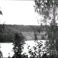 SLM Ö490 - Skogsparti med sjö