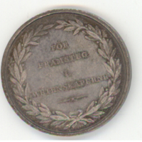 SLM 10566 7 - Medalj