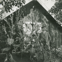 SLM P11-6032 - Govert Indebetou (1875-1955) i trädgården vid Mörkhulta
