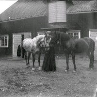SLM Ö629 - Kvinna med hästar på stallbacken vid Ökna säteri i Floda socken