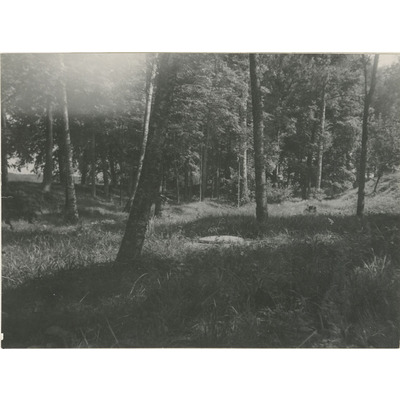 SLM M004176 - Del av vallgrav vid Väderbrunn i Bergshammars socken, foto från kronogårdsinventering 1948