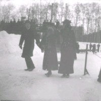 SLM Ö217 - Sällskap med slädar, 1890-tal