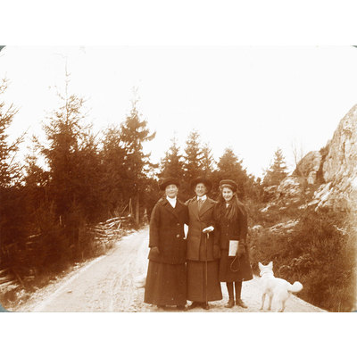 SLM P2013-2108 - Mor och dotter Wemyss i Alingsås år 1914