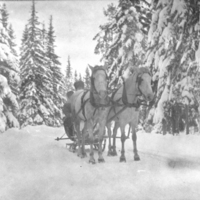 SLM P09-1345 - Slädfärd vintertid, tidigt 1900-tal