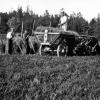 SLM P09-401 - Höskörd på Nynäs i slutet av 1930-talet