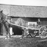SLM P05-694 - Pelle Julin och hästen Peim på Ellesta Nergård, 1921