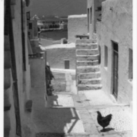 SLM P11-2764 - Foto från Grekland 1957