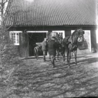 SLM Ö617 - Hästekipage med två hästar och vagn