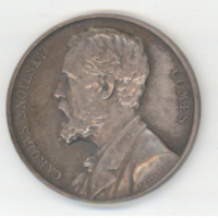 SLM 35081 13 - Medalj