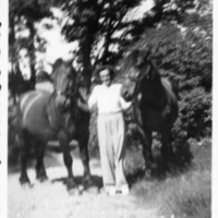 SLM P08-2153 - Elsa med två hästar och en katt