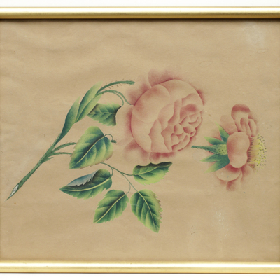 SLM 11998 6 - Akvarell, ros, av Hilda Lundqvist (1858-1944)