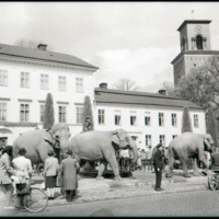 SLM OH0956-8 - Elefanter i Nyköping år 1960