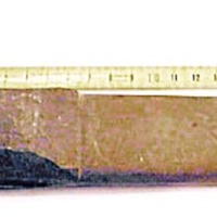 SLM 8611 1841 - Sparrjärn