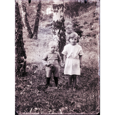 SLM X1916-78 - Två barn i en björkdunge