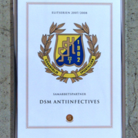 SLM 34495 - Diplom