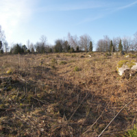 SLM 18170 - Arkeologisk undersökning fornlämningar Tumbo socken