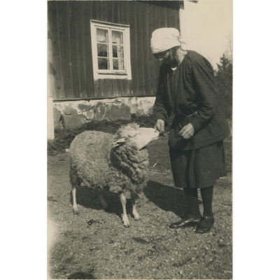 SLM P07-337-1 - Karin Hall och fåret Ulla