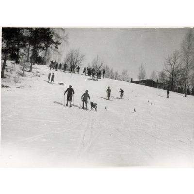SLM P2020-0420 - Elever åker slalom på skidbacken vid Solbacka Läroverk, 1931